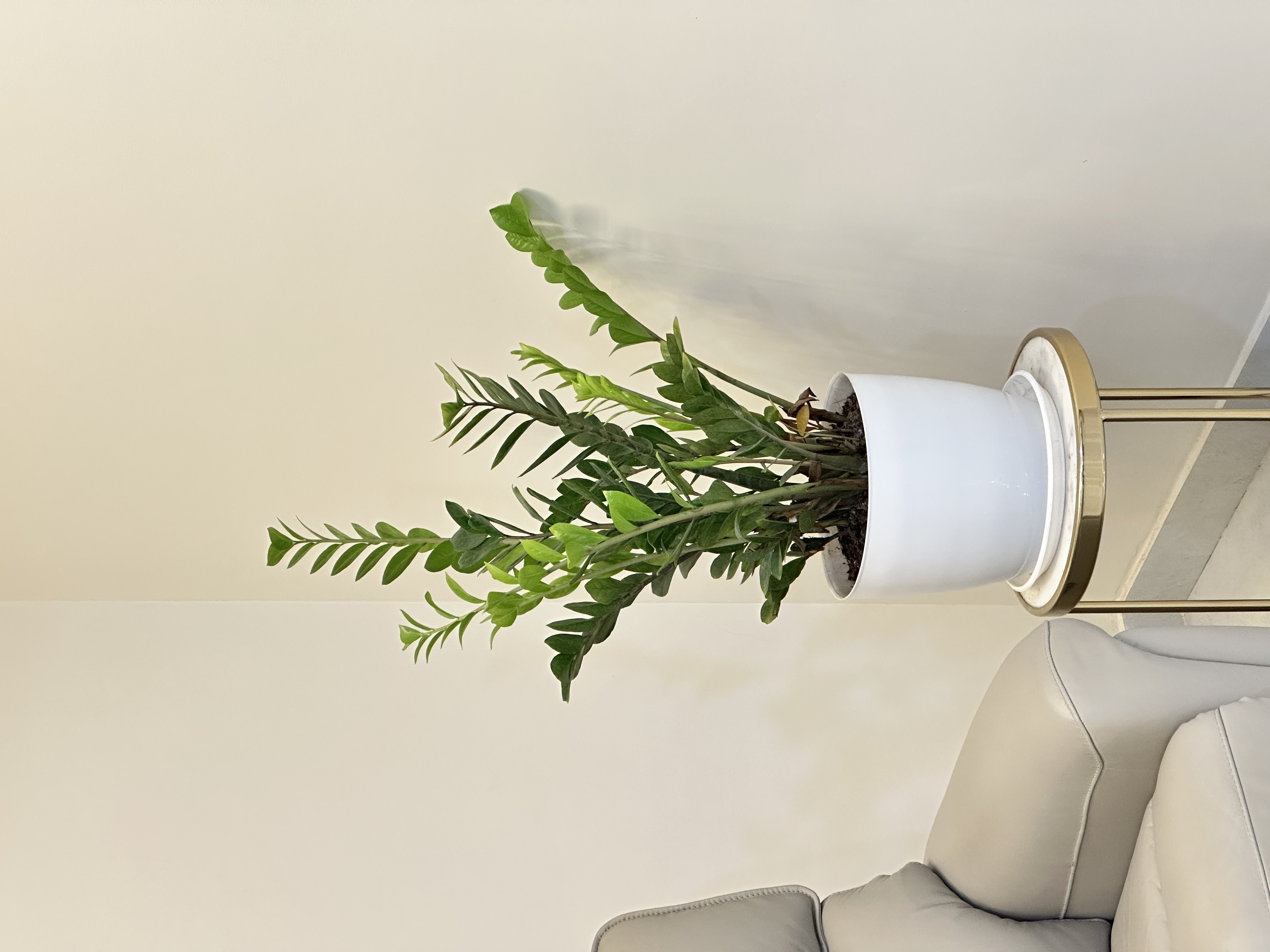 Finished interior painting example